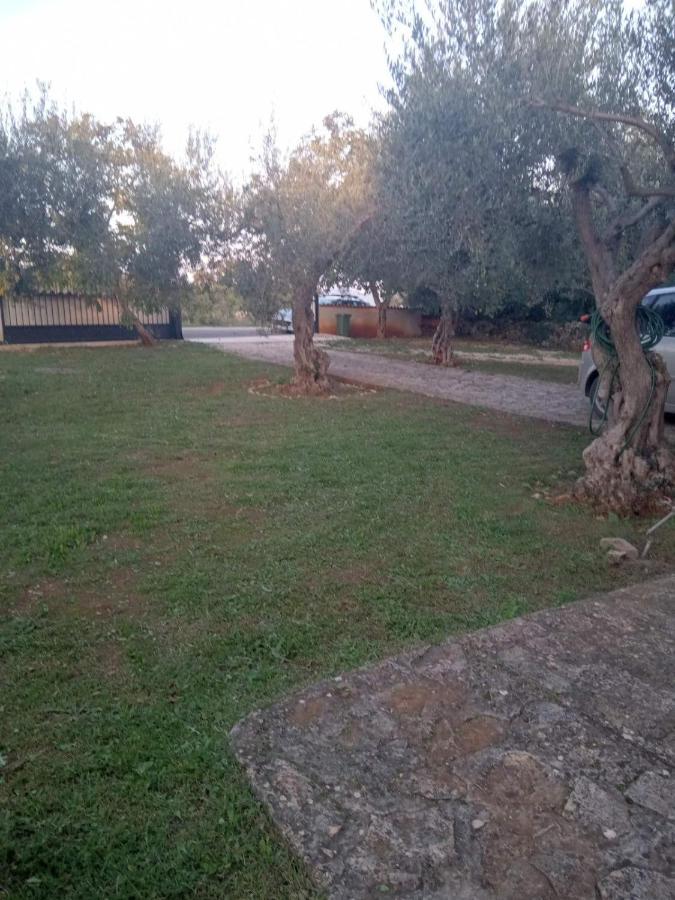Apartman Krcina Krnica Exterior foto